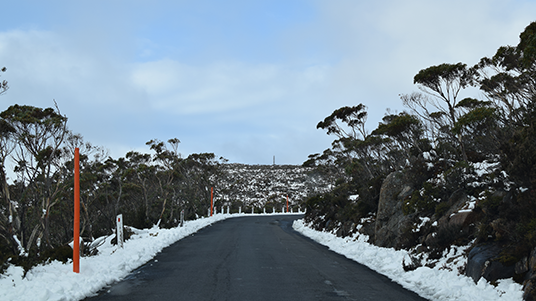 mount wellington tour