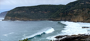 Tasman Peninsula Tour Guide