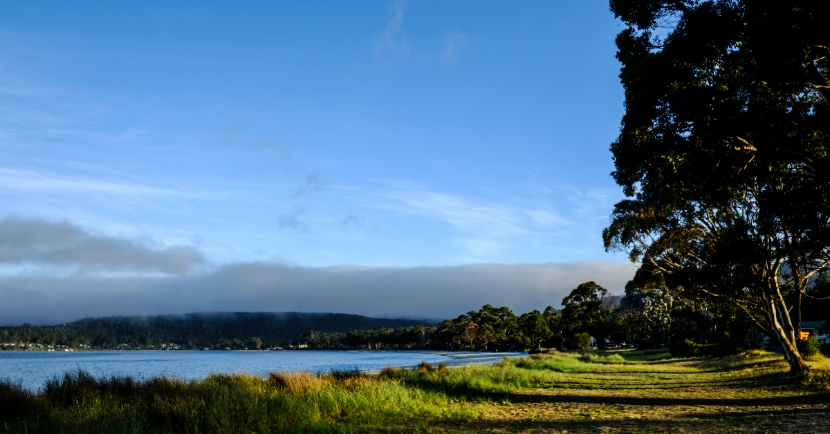 ake scene with mist over the water, surrounded by green grass and trees