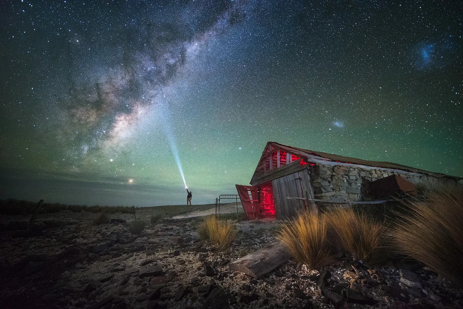 tasmania night tour
