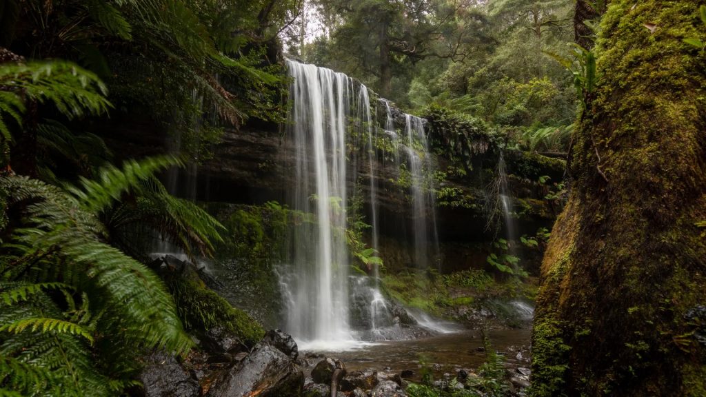 Hidden Waterfalls of Tasmania: A Local’s Guide to Nature Escapes